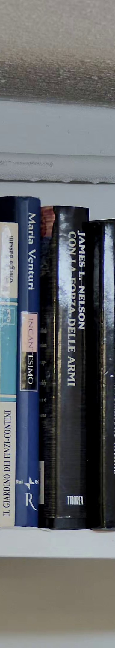 Con la forza delle armi