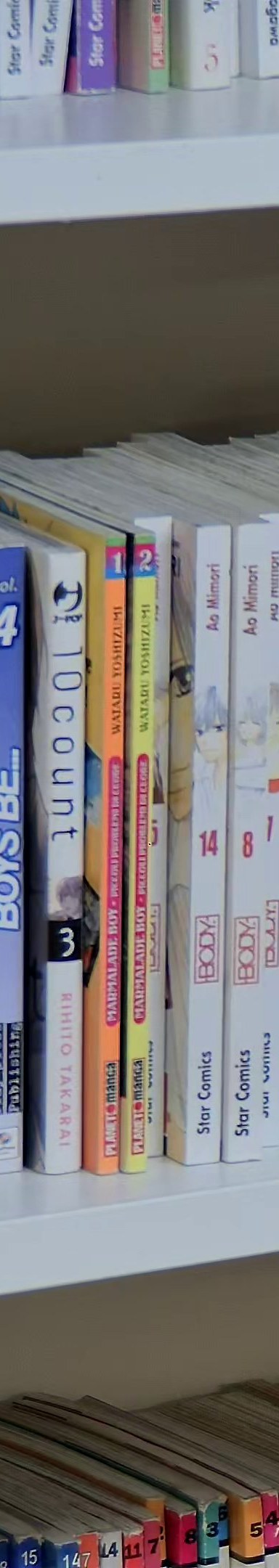 Marmalade Boy 1