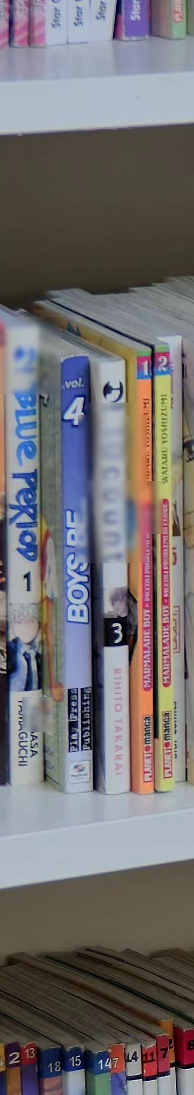 Marmalade Boy 2