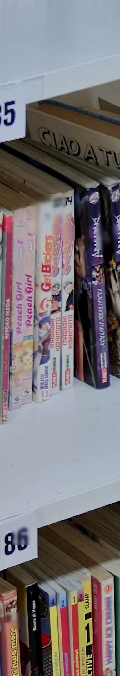 Peach Girl 2