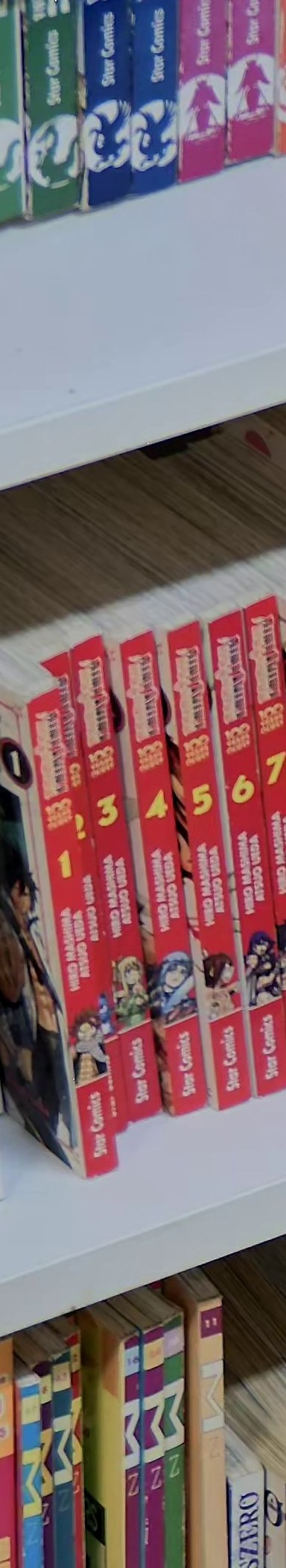 Fairy Tail 5