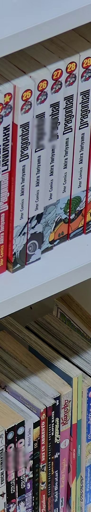 Dragon Ball 25