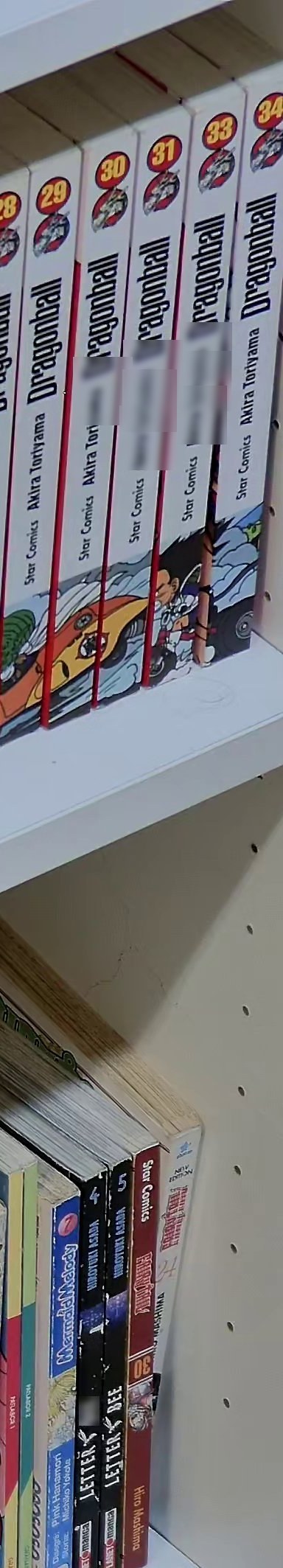 Dragon Ball 33