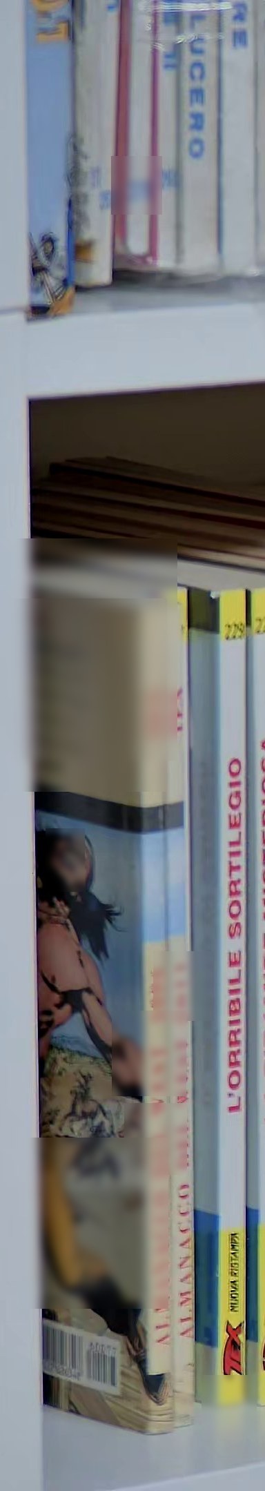 Tex Almanacco del West 2011