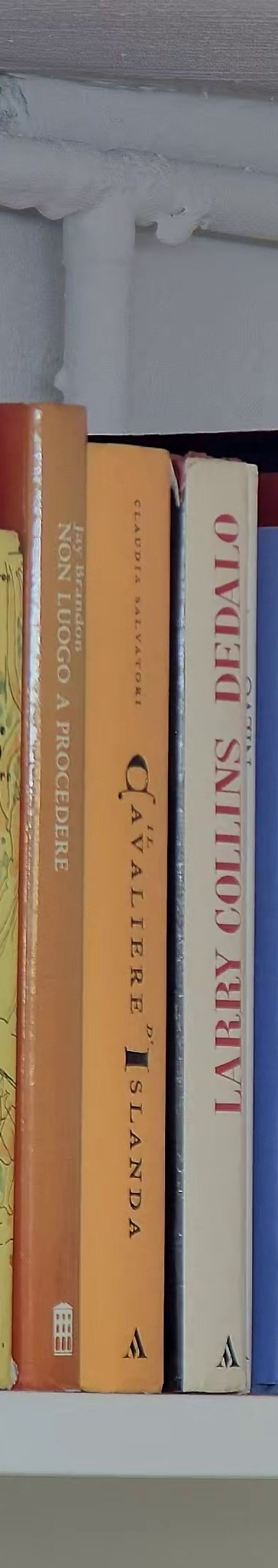 Il cavaliere d'Islanda